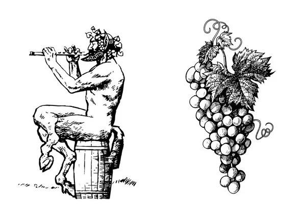 Satyr no barril do vinho tocando flauta e um monte de uvas. Vetor —  Vetores de Stock