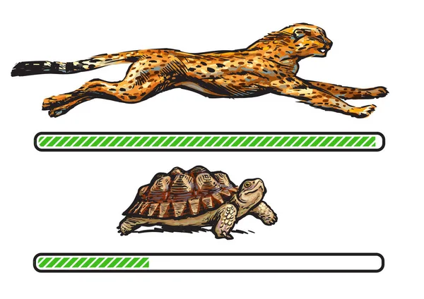 Cheetah and turtle. Fast and slow loading bar. Vector — Stock Vector