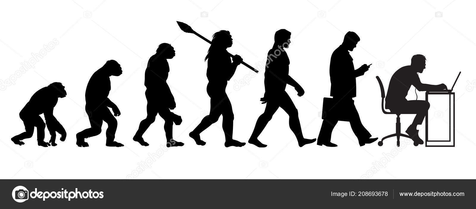 Silhouette of theory of evolution of man. Vector Stock Vector Image by ...