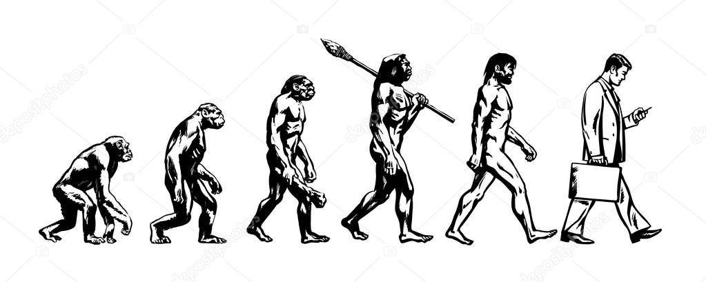 Theory of evolution of man. Human development. Vector