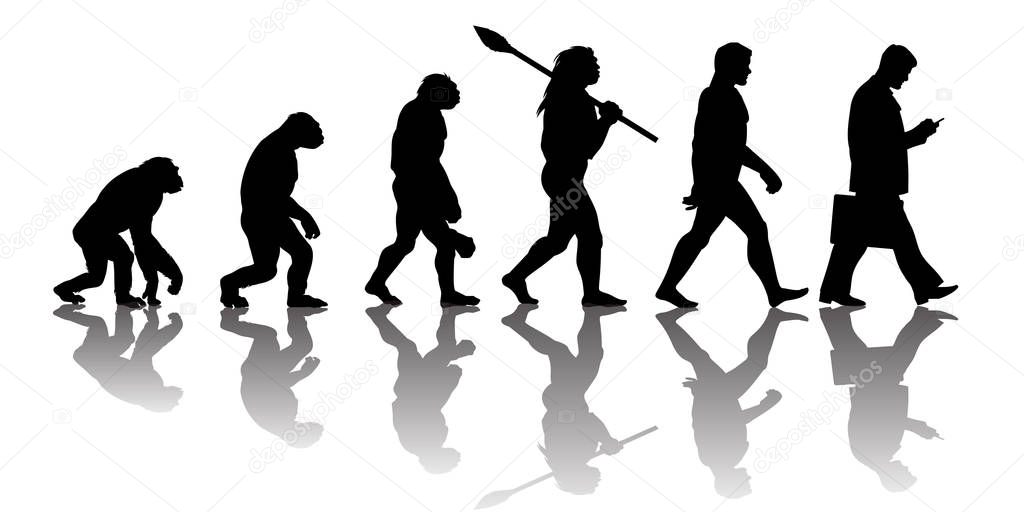 Theory of evolution of man. Silhouette with reflection. Vector