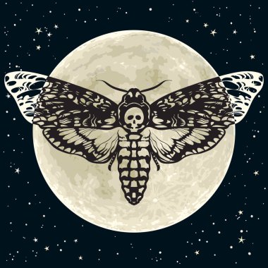 Ölüm dolunay ve gece gökyüzü arka plan üzerinde kafa hawkmoth. Kafatası güve kelebek. Vektör