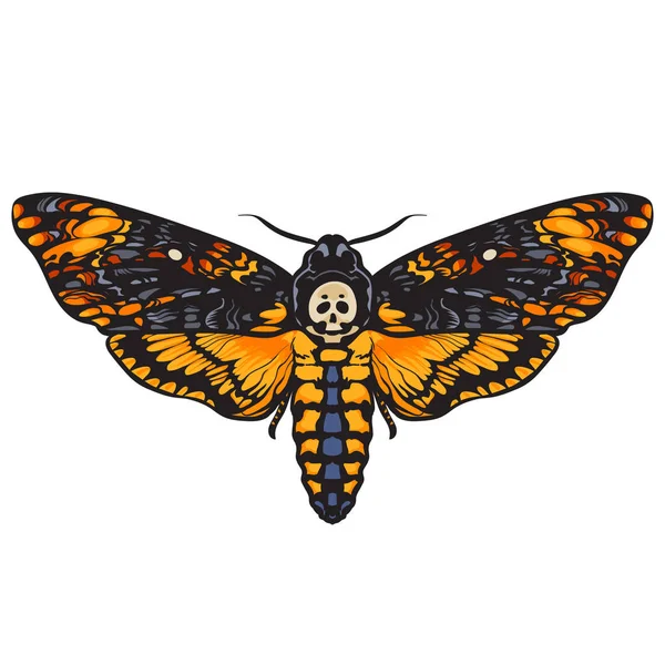 Ölüm baş hawkmoth kafatası güve kelebek Halloween dekorasyon. Elle çizilmiş vektör.