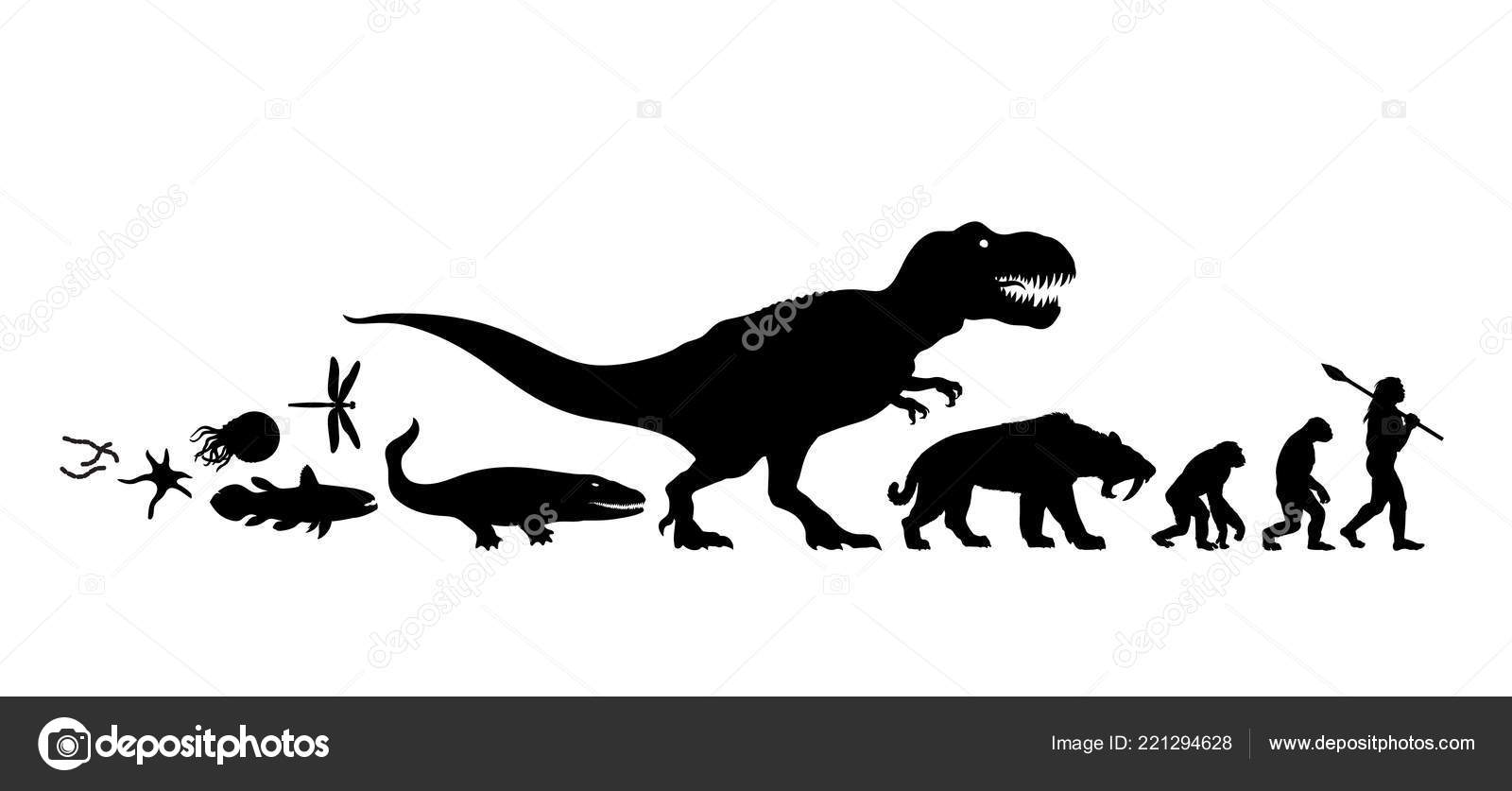 History of life on Earth. Silhouette. Timeline of evolution from protozoa  to man. Human development. Hand drawn isolated ivector illustration. Stock  Vector Image by ©UncleLeo #221294628