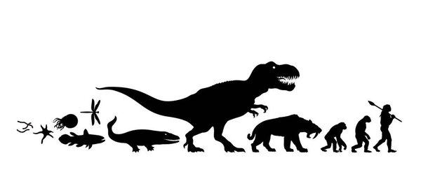 История жизни на Земле. Силуэт. Хронология эволюции от простейших к человеку. Человеческое развитие. Ручная рисованная иллюстрация
.