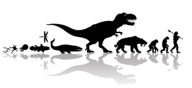 Evolution of life on Earth. Silhouette with transparent reflection isolated on white background. clipart