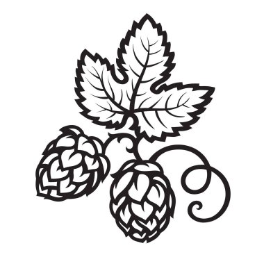 Koniler yaprak simgesi ile Zıpla. Çizilmiş vektör çizim el.