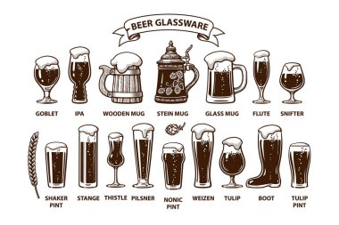 Bira cam Kılavuzu. Bira gözlük ve kupalar çeşitli türleri... Brewers Festivali, Bar, pub dekorasyon için tasarım elemanları.