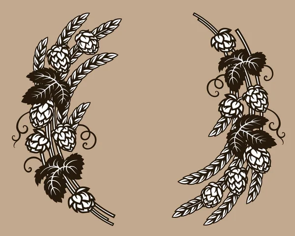 Branches de houblon de bière avec épis, feuilles et cônes d'orge de blé. Eléments pour la conception de la brasserie, prodaction de la bière, pub et bar décoration. Vecteur dessiné à la main . — Image vectorielle