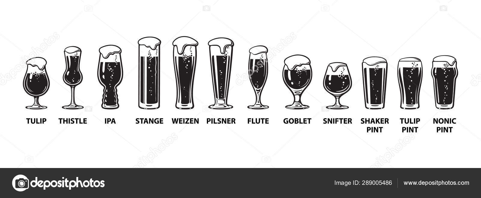 Types of beer glasses Royalty Free Vector Image