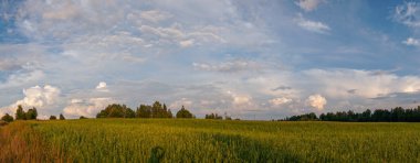 Mavi gökyüzünde beyaz bulutlar.