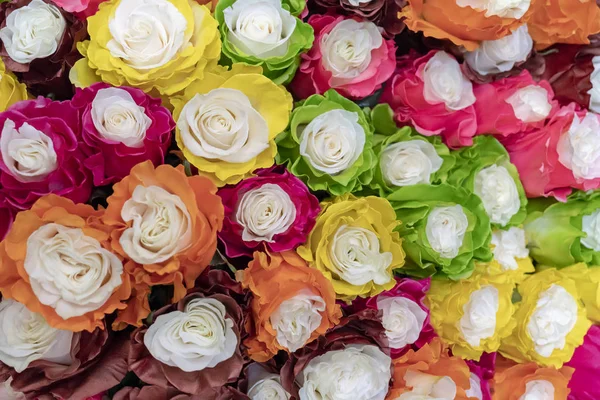 close up of Large multi-colored roses.