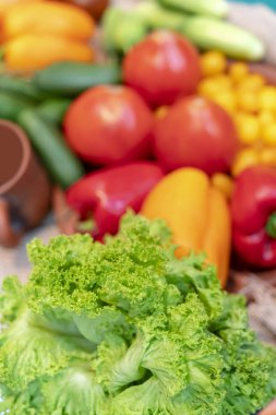 Domates, salatalık, salata ve tatlı Bulgar biber. Üstten görünüm.