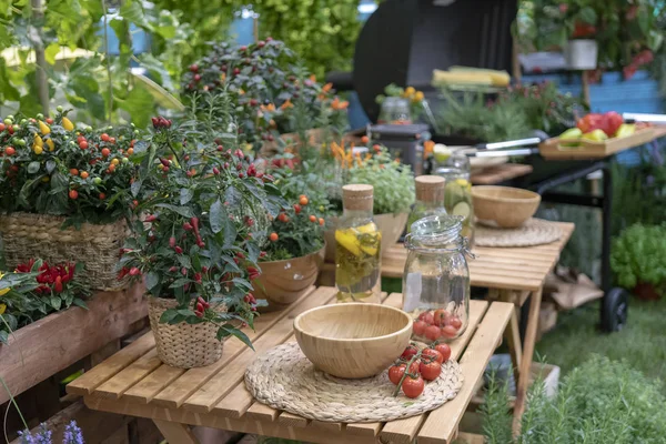 Gemüse Auf Dem Tisch Garten — Stockfoto