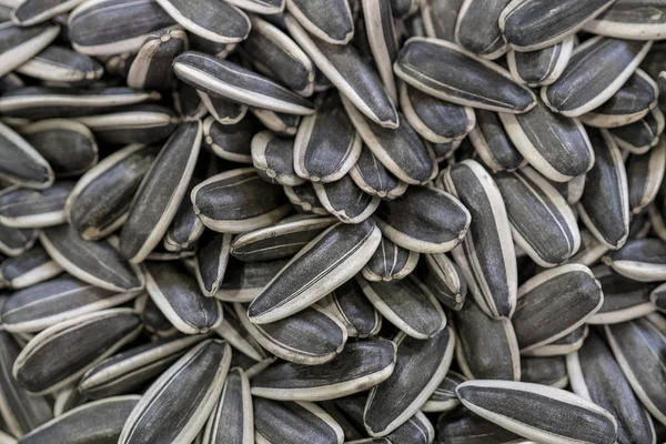 Gri Ayçiçeği tohumları yakın çekim.
