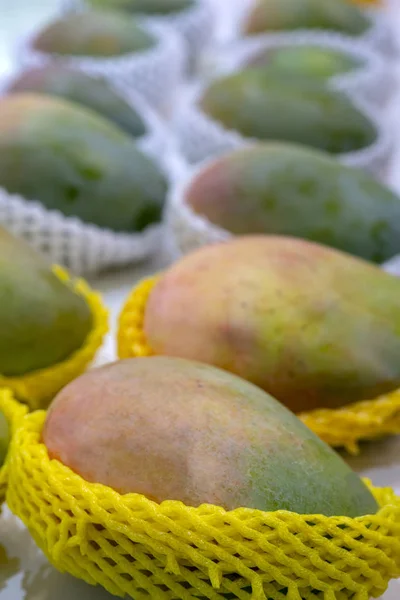 Green Mango Package — Stock Photo, Image