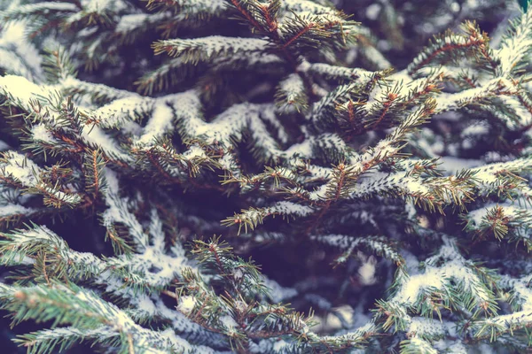 Fondo Navidad Ramas Juguetes Nieve —  Fotos de Stock