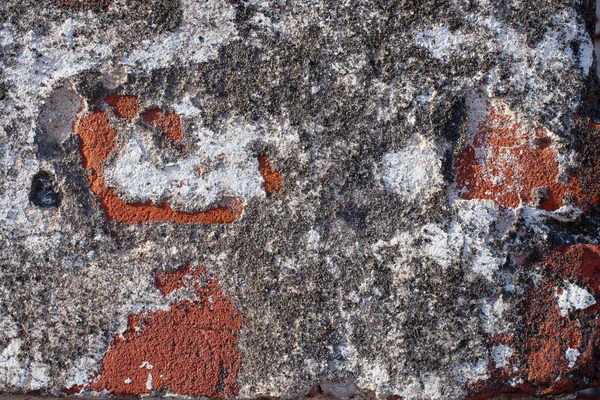 remnants of the old red paint on a piece of wall