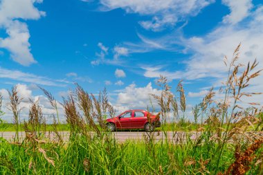 yeşil çim gökyüzü ile yolda kırmızı araba