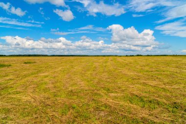 Bulutlu kırsal alan.