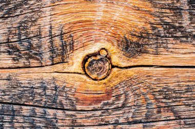 eski ağaç doku bir fahişe ile.