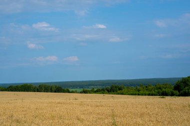 Bulutlu kırsal alan.