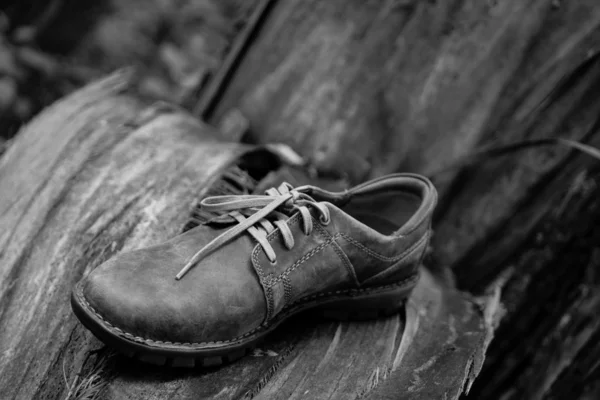 Novos Sapatos Masculinos Castanhos Elegantes — Fotografia de Stock