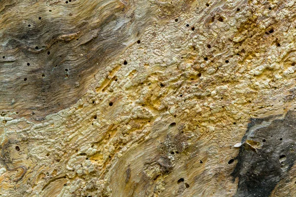 Texturen Stenen Svårt Skadad Från Effekterna Tid — Stockfoto