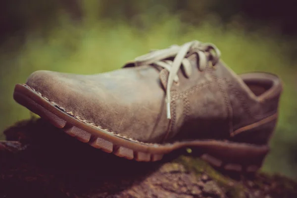 Yeni Şık Kahverengi Erkek Ayakkabı — Stok fotoğraf