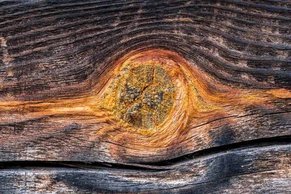 Старая Текстура Дерева Сукой — стоковое фото
