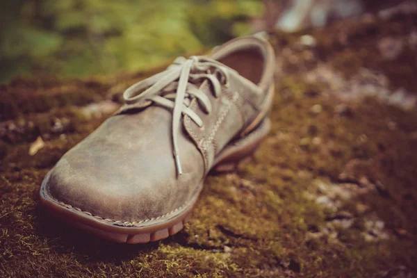 Novos Sapatos Masculinos Castanhos Elegantes — Fotografia de Stock