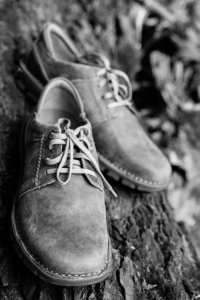 Novos Sapatos Masculinos Castanhos Elegantes — Fotografia de Stock