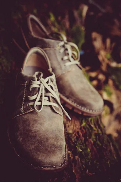 Novos Sapatos Masculinos Castanhos Elegantes — Fotografia de Stock