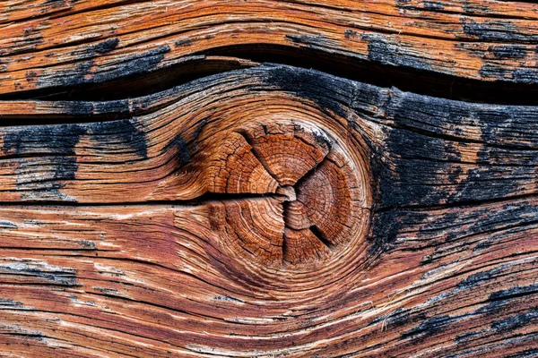 Старая Текстура Дерева Сукой — стоковое фото
