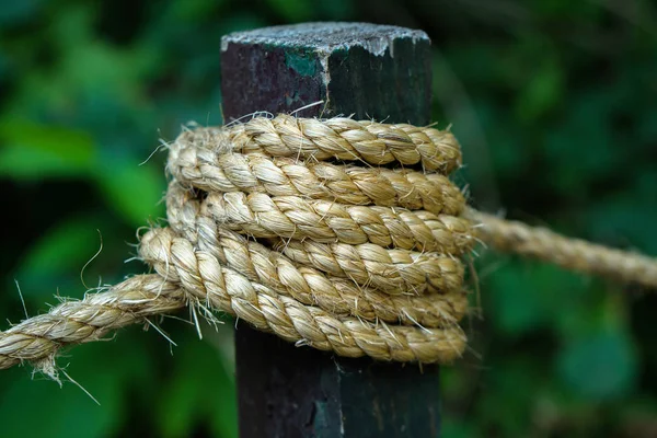 Rope Knot Close View — Stock Photo, Image