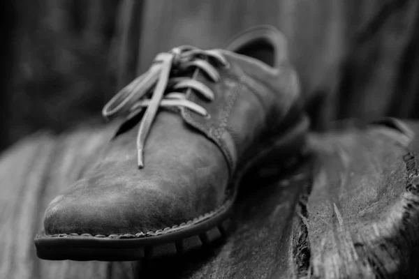 Nuevos Zapatos Hombre Marrones Con Estilo — Foto de Stock