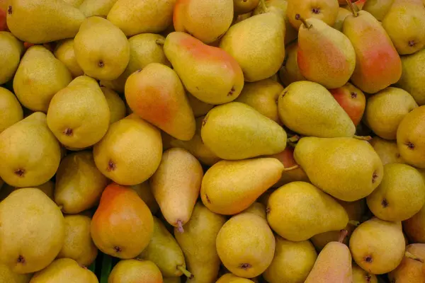 Fresh Pears Close View — Stock Photo, Image