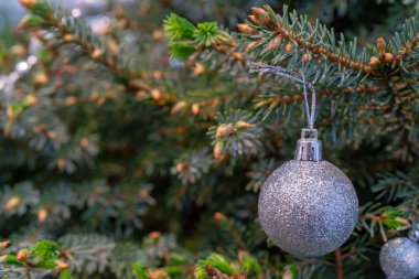 Noel gümüş top bir ağaç üzerinde
