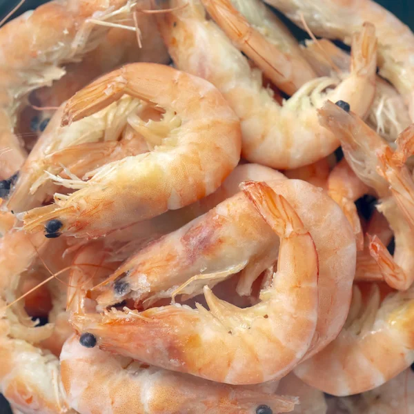 Frozen shrimps, close up view