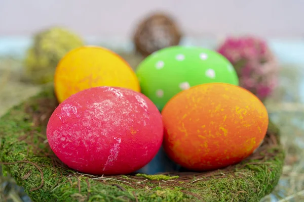Multi-colored Easter eggs in mossy nest on blue background