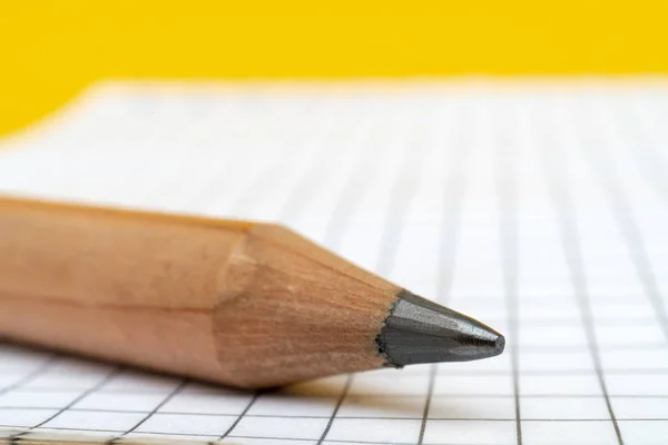 Huge Pencil Checkered Notepad Page — Stock Photo, Image