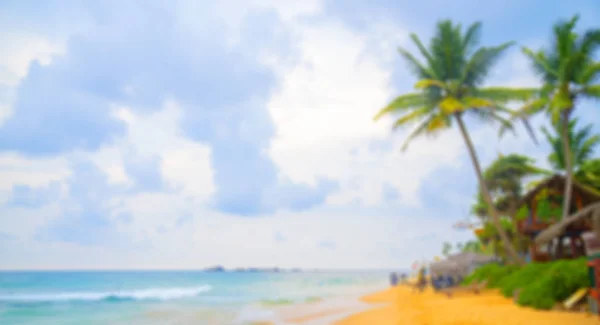 Plaża Palmy Piasek Błękitne Niebo Miejsce Wakacje Rekreacji Miękkie Tło — Zdjęcie stockowe