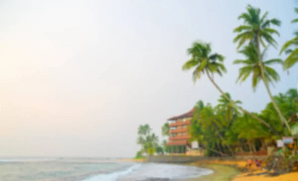 Plaj Palmiye Ağaçları Kum Mavi Gökyüzü Tatil Eğlence Için Yer — Stok fotoğraf