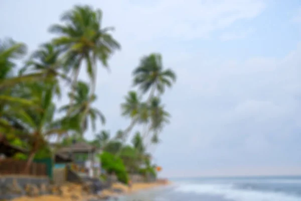 Strand Palmen Sand Blauer Himmel Ort Für Urlaub Und Erholung — Stockfoto