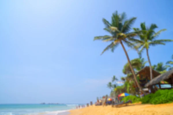Пляж Пальми Пісок Блакитне Небо Місце Відпочинку Розваг Який Фон — стокове фото