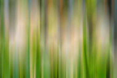 Renkli bulanık soyut arkaplan