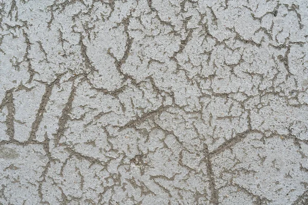 Verzweigte Risse Grauen Asphalt Graue Oberfläche — Stockfoto