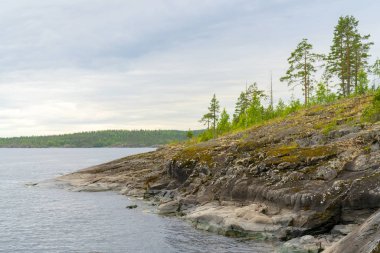 Ladoga Gölü'ndeki adalar. Güzel manzara - su, çam ve kayalar
