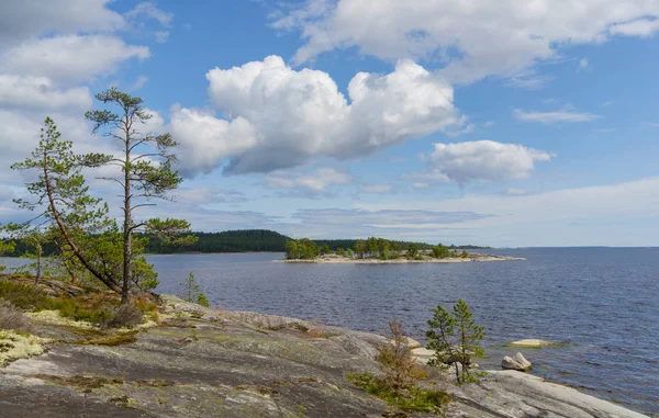 Ilhas Lago Ladoga Bela Paisagem Água Pinheiros Pedregulhos — Fotografia de Stock