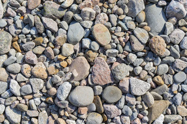 Guijarros Orilla Piedras Redondas Costa — Foto de Stock